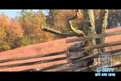 TV Content Image